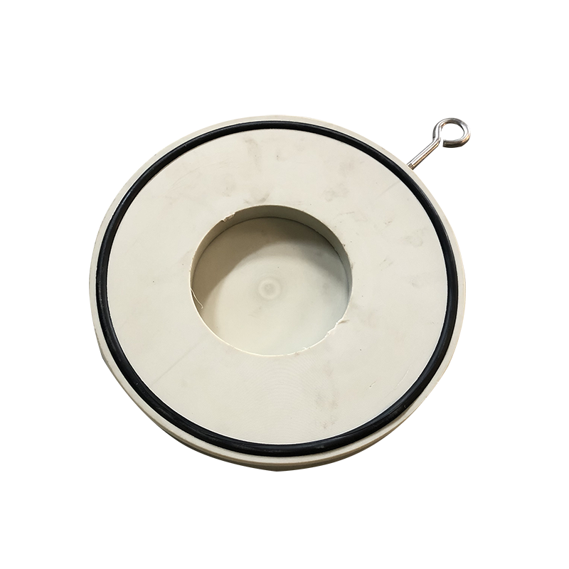 PPH闆式(shi)止回(hui)閥